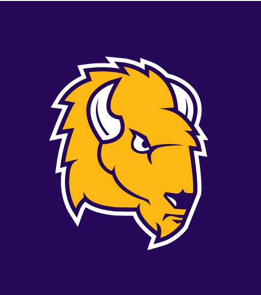 Lipscomb Bisons 2012-Pres Alternate Logo iron on transfers for fabric